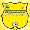 مالية كفر الزيات'